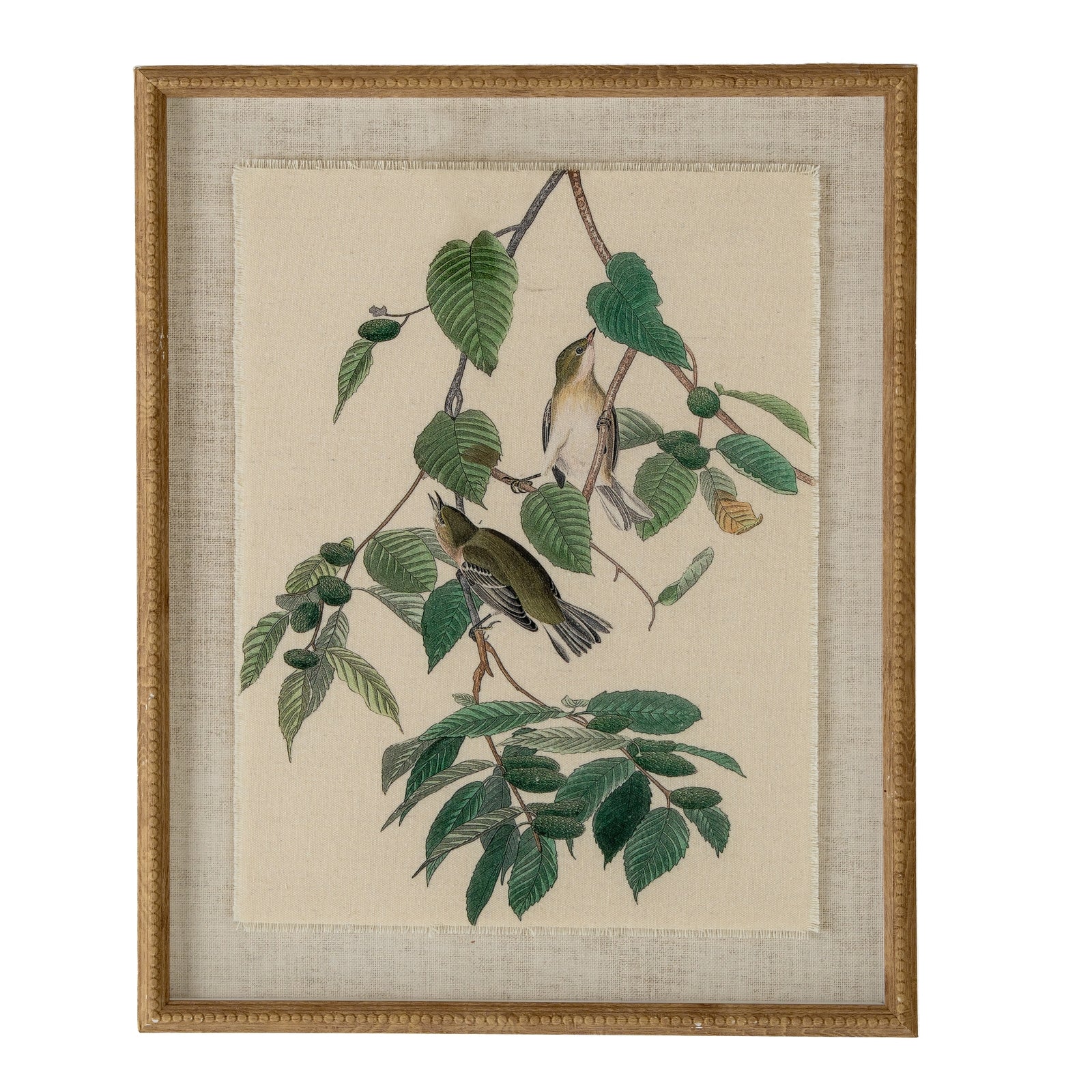Flora & Fauna Collection Warblers On Linen In Beaded Frame