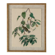 Flora & Fauna Collection Warblers On Linen In Beaded Frame