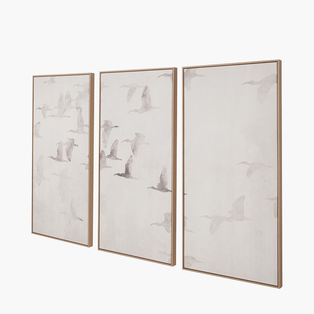 Set of 3 Natural and White Birds Canvases with Natural Frames